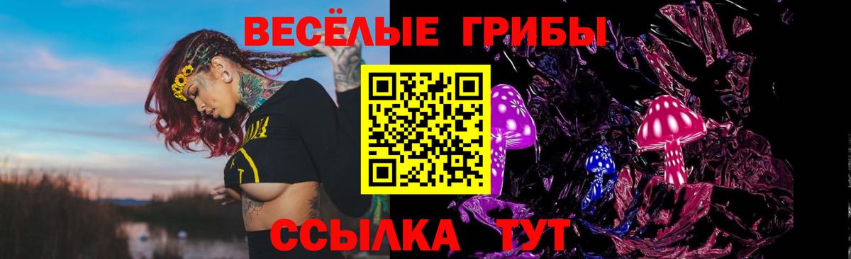 Галлюциногенные грибы Psilocybine cubensis  Вход с VPN  Ртищево 